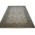 Beautiful green bordered Afshar design rug